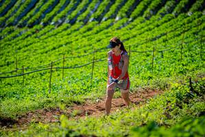 BIB: 
                            <button type="button" onclick="openModal(19161962)" class="btn btn-primary btn-sm float-right btn-popup" data-toggle="modal" data-target=".modal-high-quality">
                        <i class="fas fa-shopping-cart"></i> Add to Cart
                    </button>
                                            <button type="button" onclick="isThisMe(19161962, true)" class="btn btn-success btn-sm float-right btn-popup btn-isme hidden" data-toggle="tooltip" data-placement="bottom" title="นี่คือรูปของคุณใช่ไหม คลิกที่นี่เพื่อเอาเข้าอัลบั้ม">
                        <i class="fas fa-plus"></i> Add to album
                    </button>
                    <button type="button" onclick="isThisMe(19161962, false)" class="btn btn-warning btn-sm float-right btn-popup btn-isnotme hidden">
                        <i class="fas fa-ban"></i> Remove from album
                    </button>